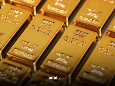 شمش سوئیسی را بهتر بشناسید